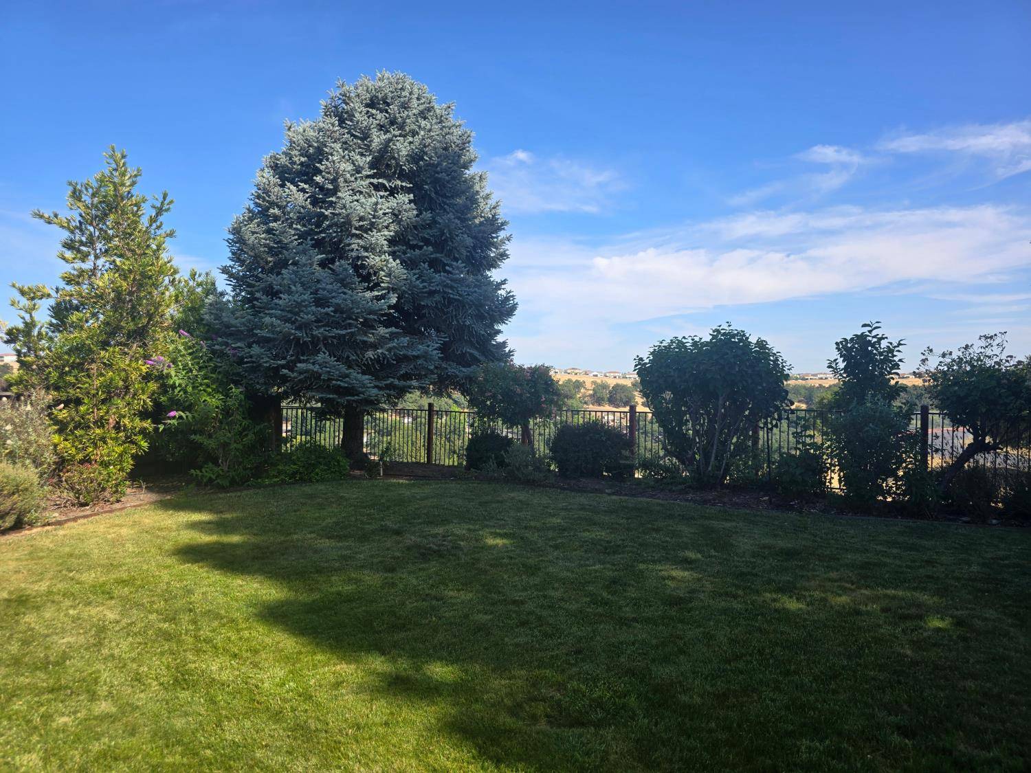 Rocklin, CA 95765,4209 Silver Spur CT