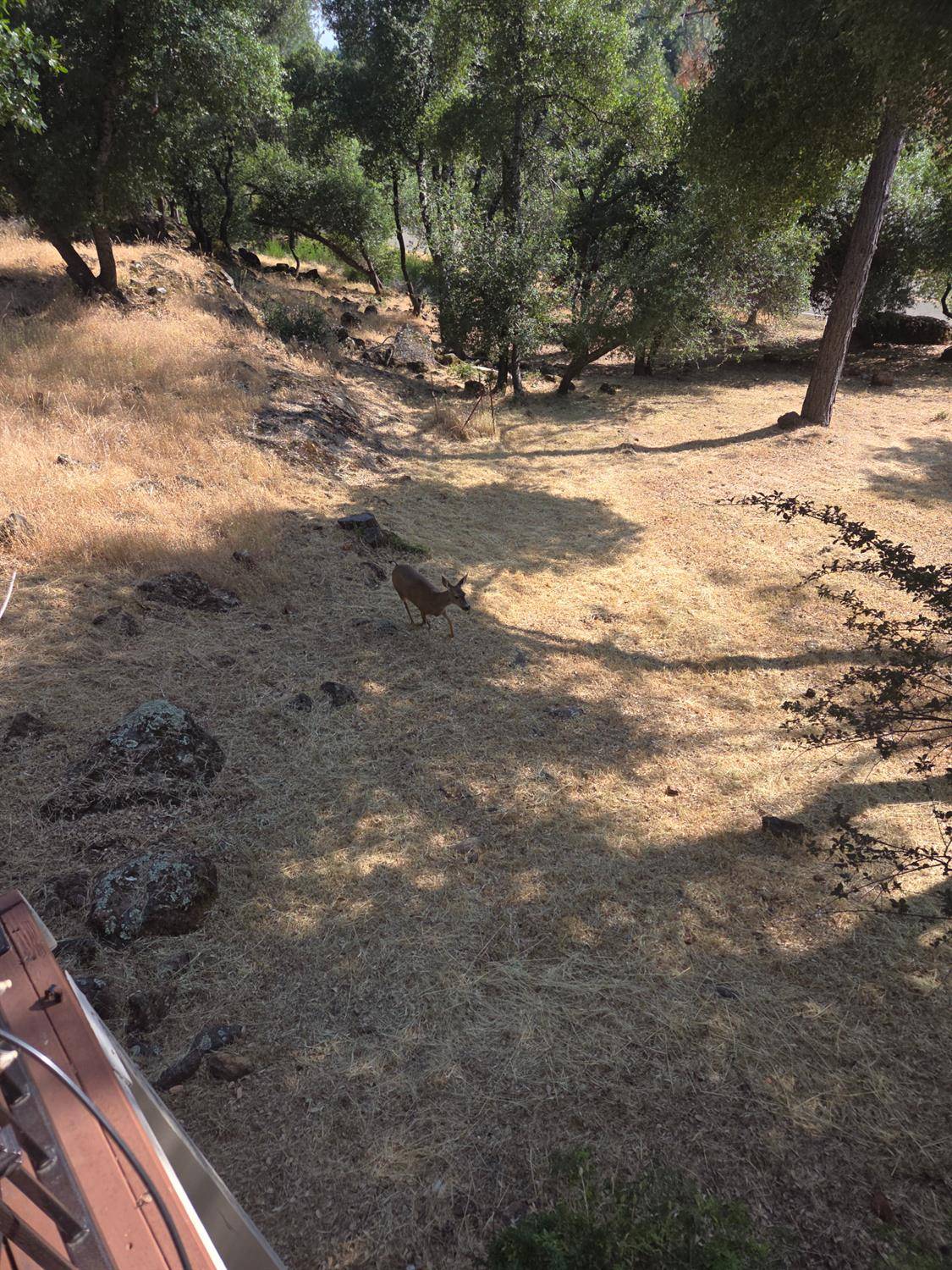 Grass Valley, CA 95949,19215 Norlene WAY
