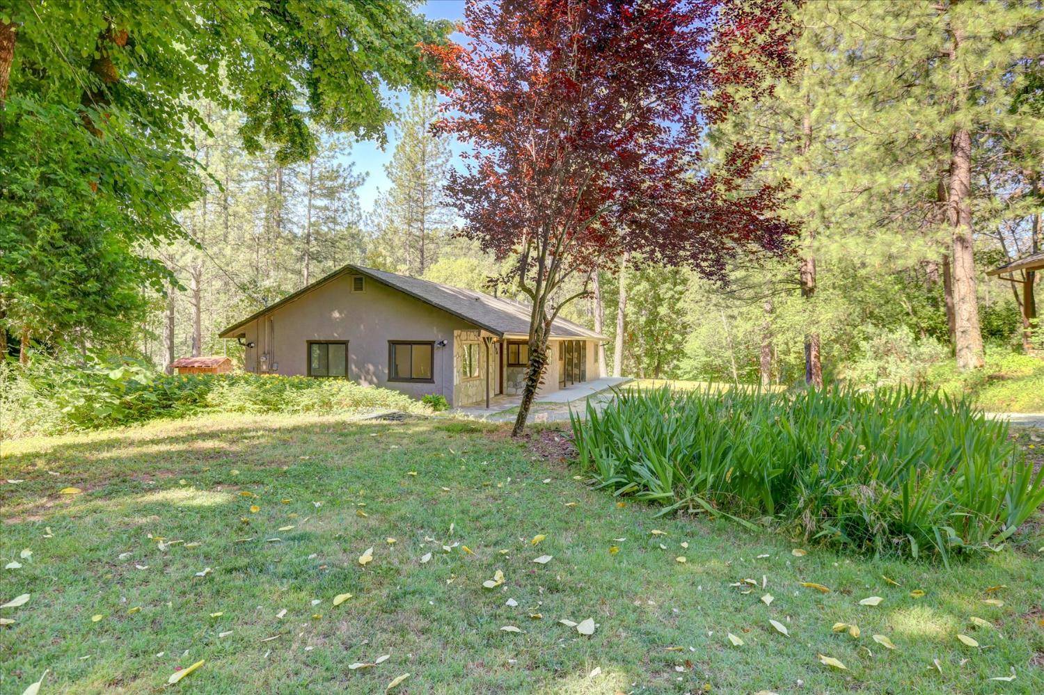12368 E Bennett RD, Grass Valley, CA 95945
