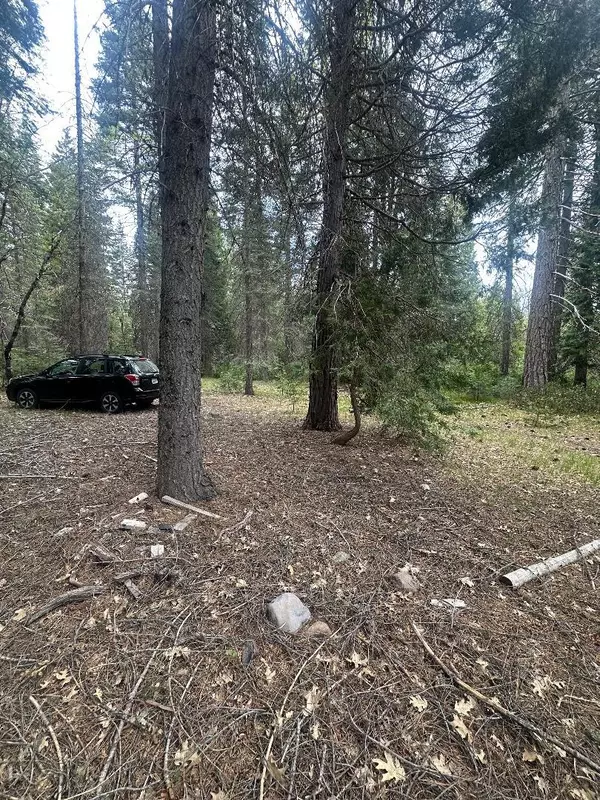 Mccloud, CA 99003,0 Widow Springs Drive