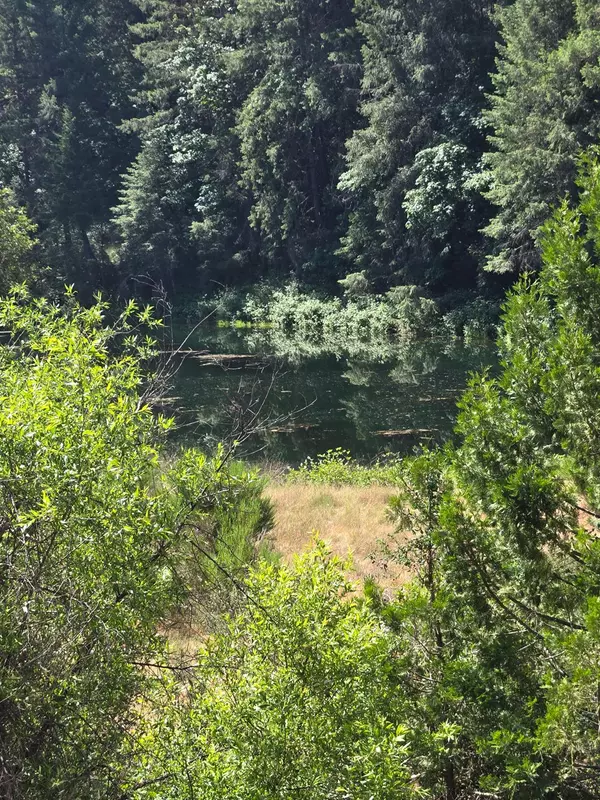 Garden Valley, CA 95633,0 Greenwood LN