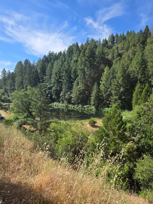 Garden Valley, CA 95633,0 Greenwood LN