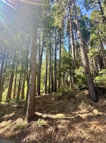 Sierra City, CA 96125,68 POR LOT N SD Main ST