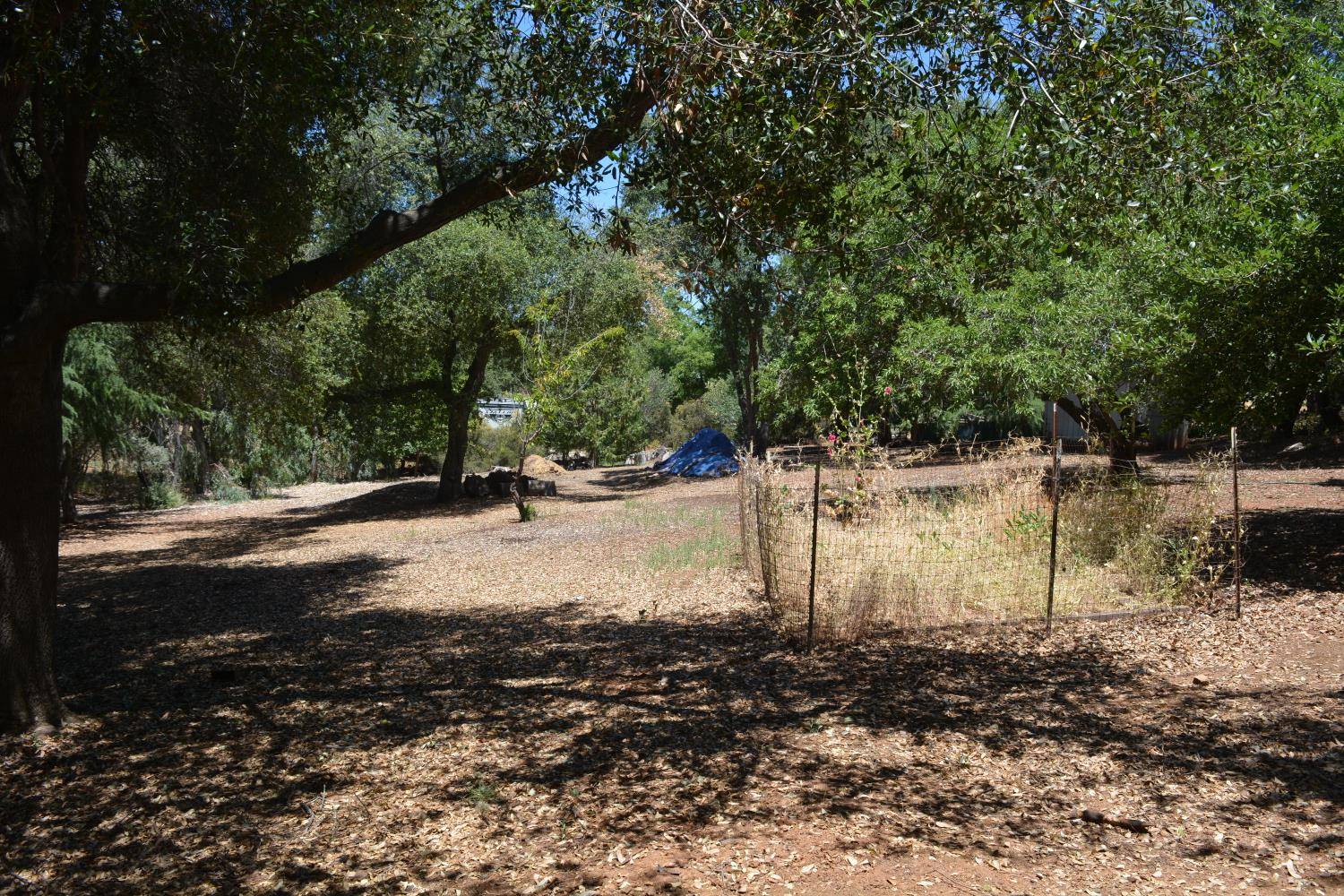 Shingle Springs, CA 95682,4569 Fewsville LN