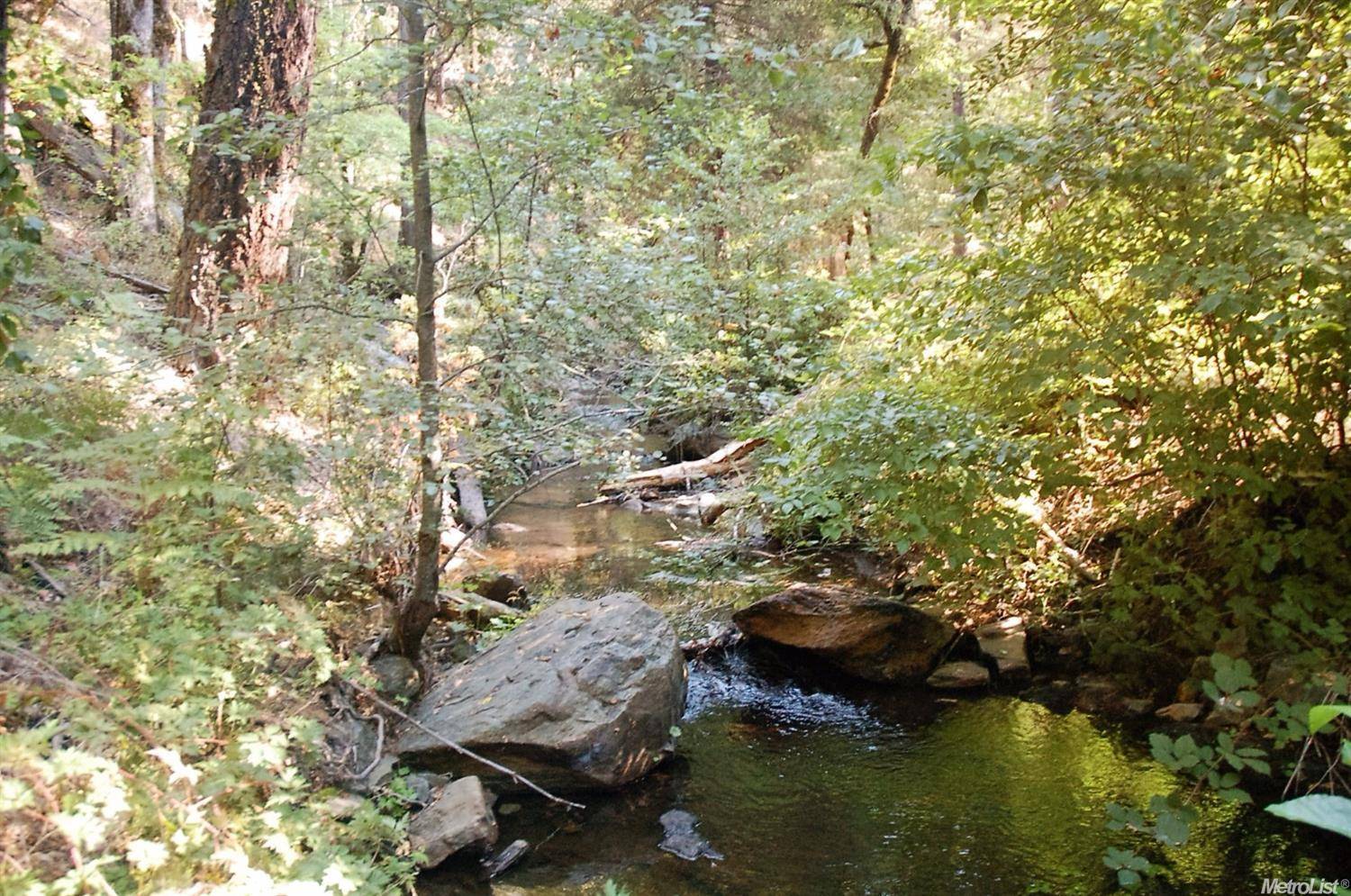 Georgetown, CA 95634,Address not disclosed