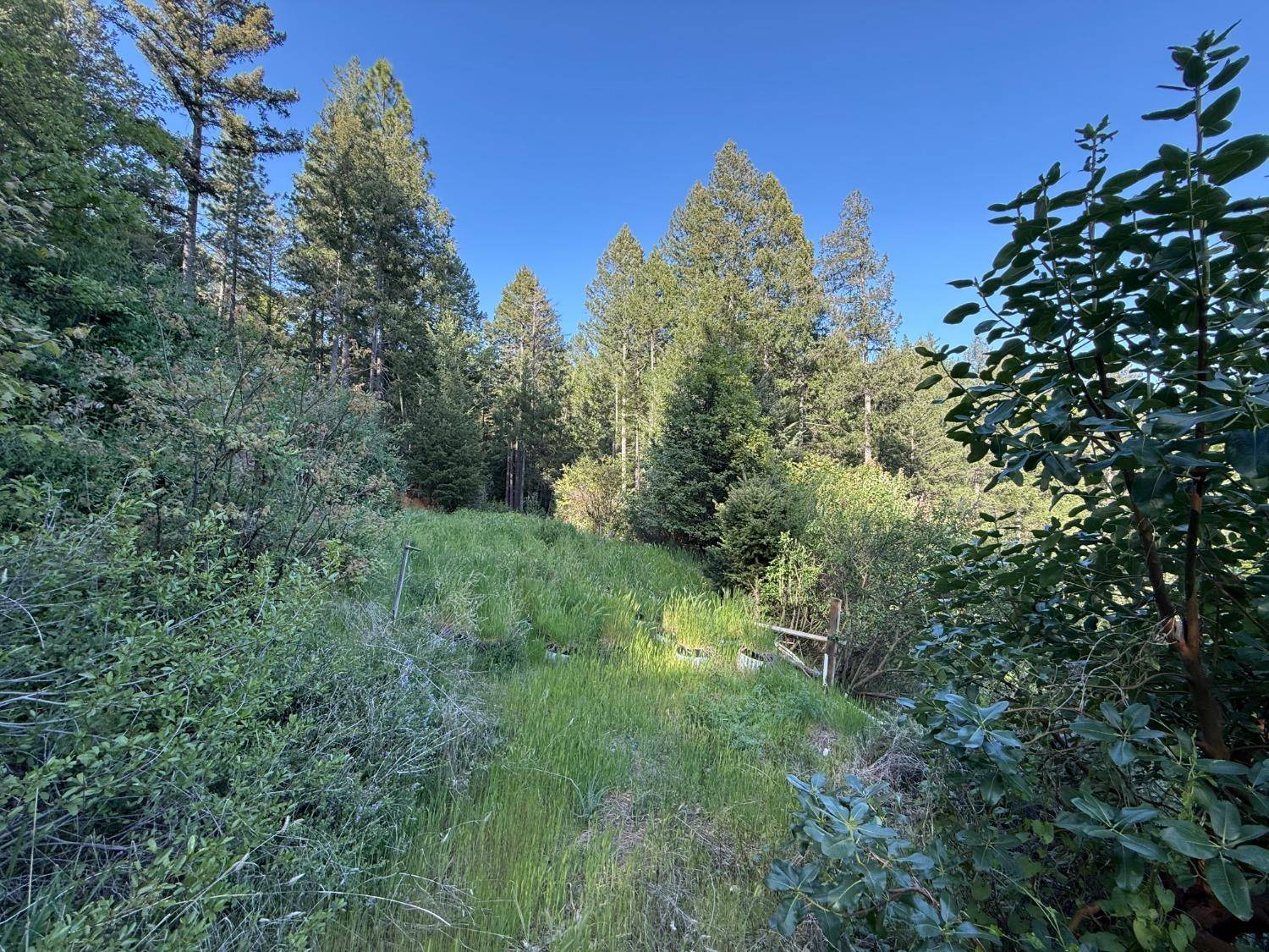 Nevada City, CA 95959,20101 Grizzly Creek RD