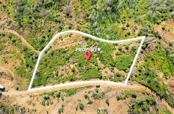 0 Pine Tree LN, Berry Creek, CA 95916