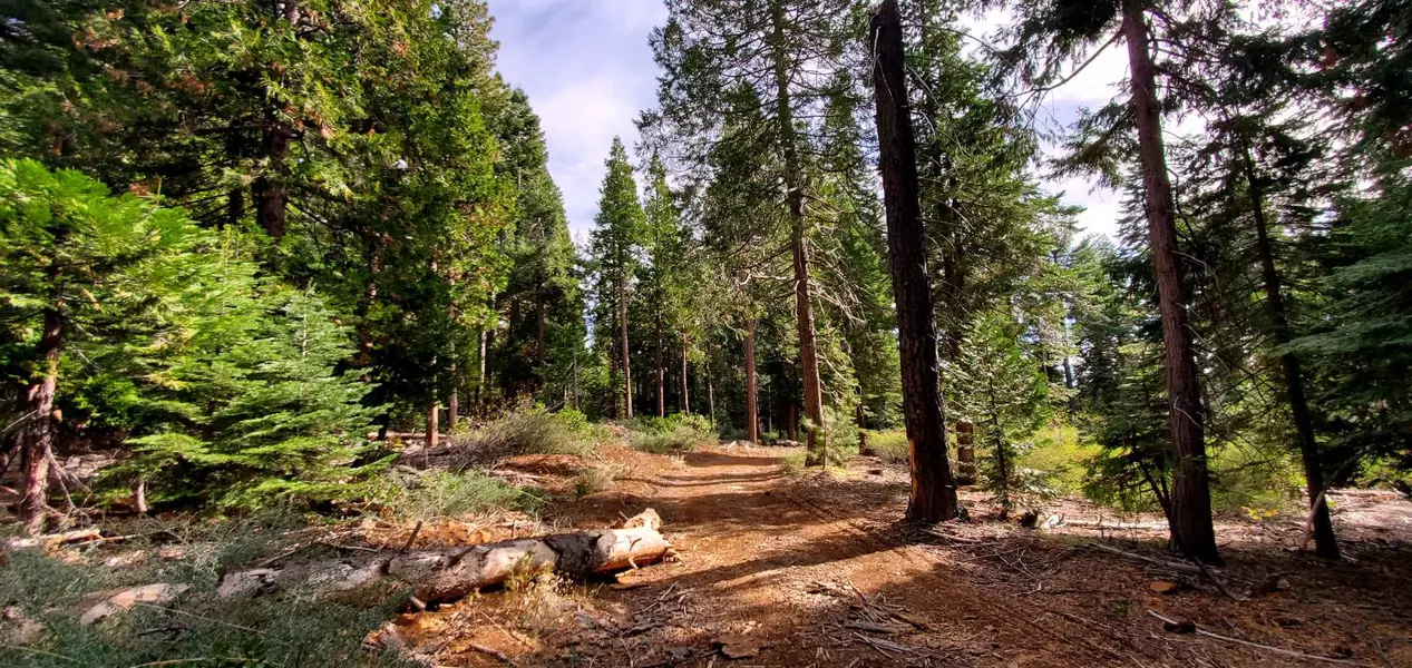 0 Buckthorne LN, Nevada City, CA 95959
