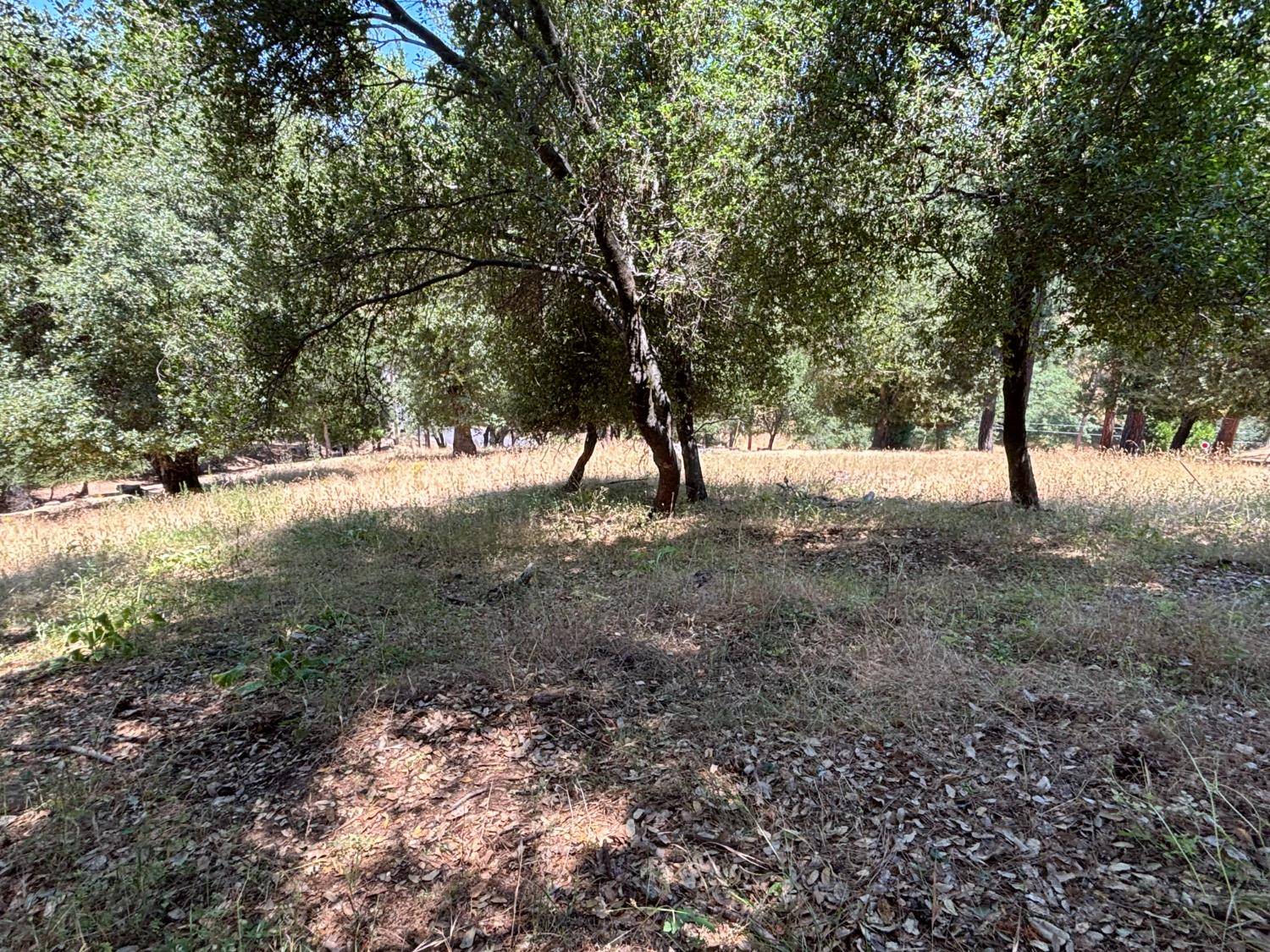 Groveland, CA 95321,20524 Nob HIll