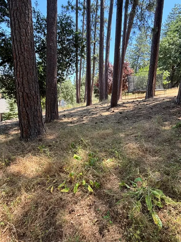 Groveland, CA 95321,20524 Nob HIll