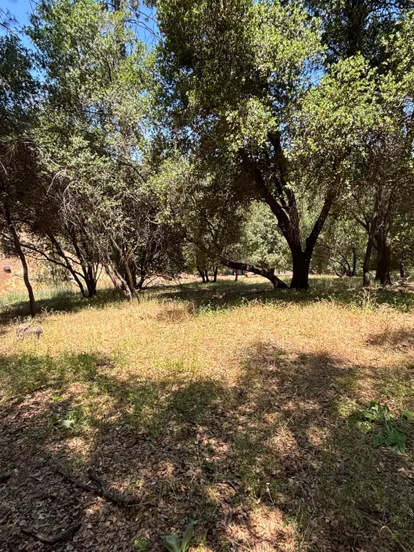 Groveland, CA 95321,20524 Nob HIll