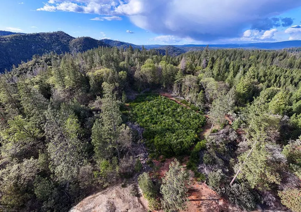 North San Juan, CA 95960,11192 Sebastopol RD