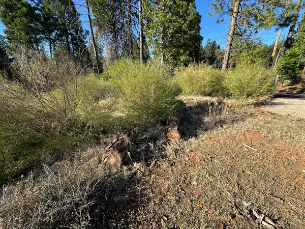 Magalia, CA 95954,6232 Wesleyan CT