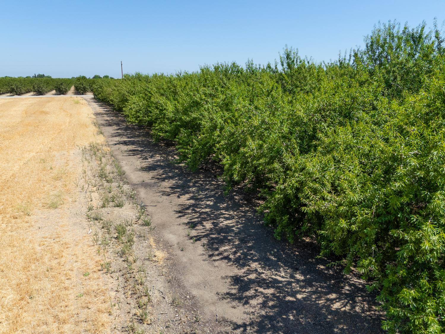 Arbuckle, CA 95912,0 Grant AVE