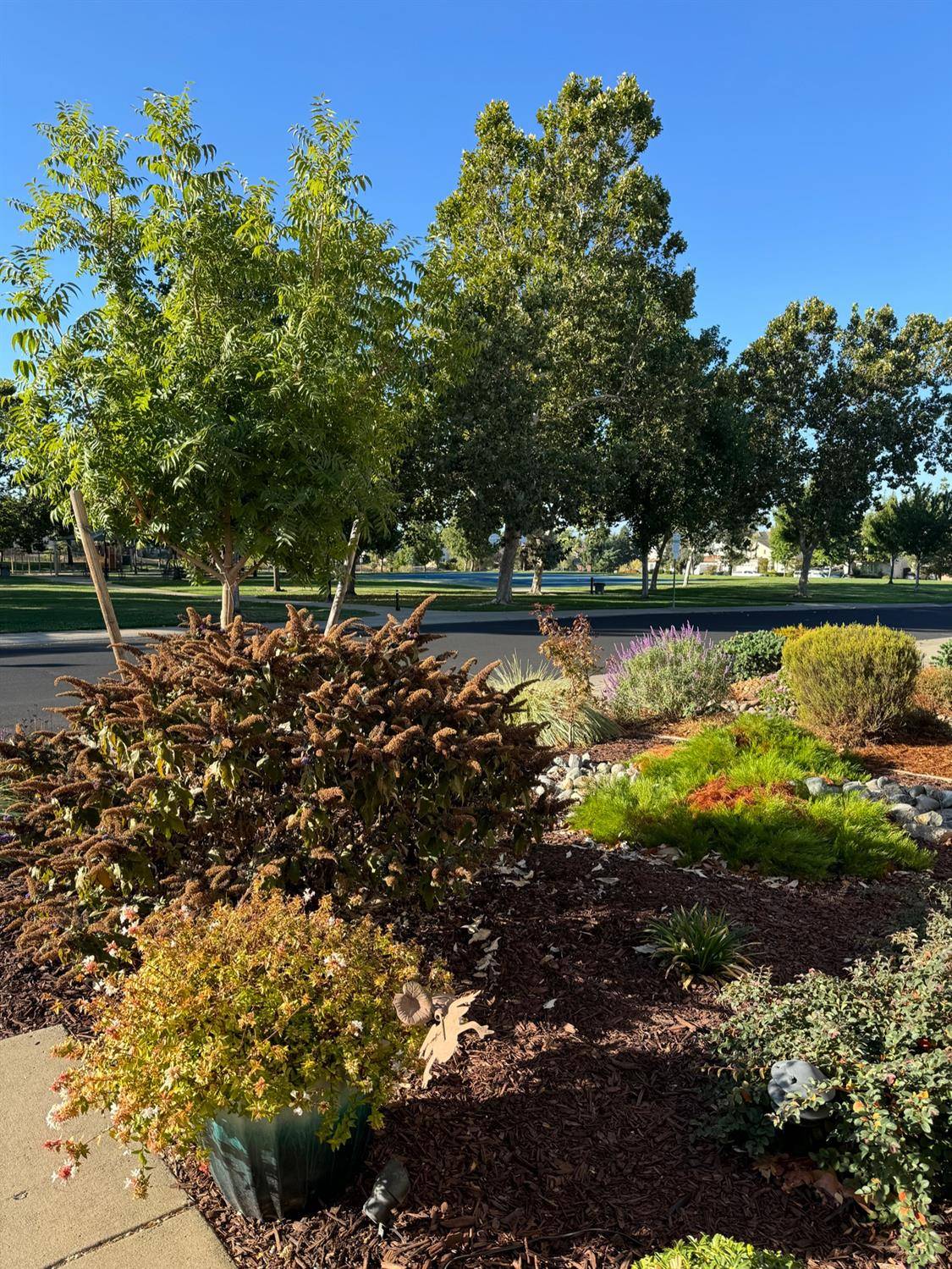 Rocklin, CA 95765,6212 Night Ridge WAY