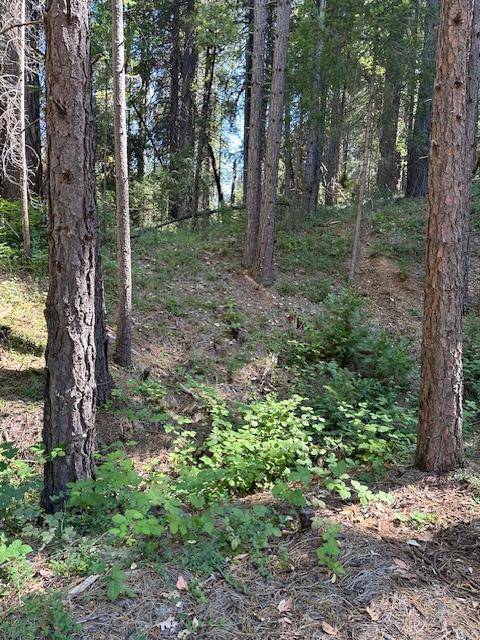 12080 Brunswick RD, Grass Valley, CA 95945