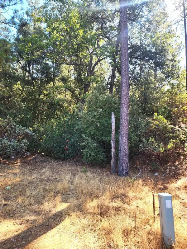 Pine Grove, CA 95665,10550 Tabeaud RD