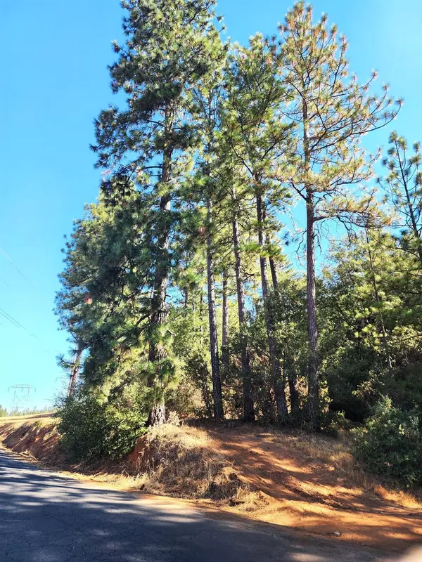 Pine Grove, CA 95665,10550 Tabeaud RD