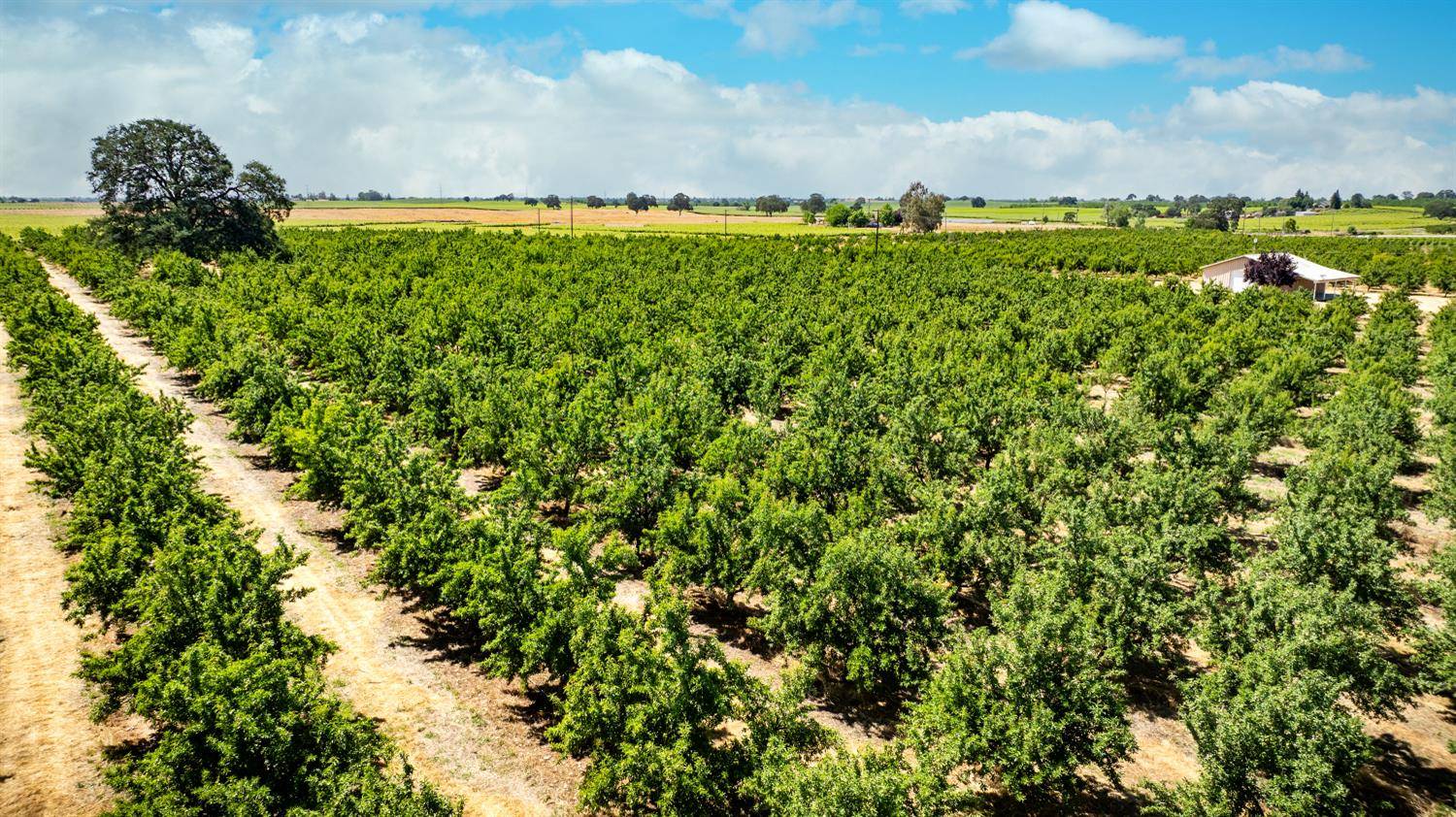 Lodi, CA 95240,15600 Clements RD
