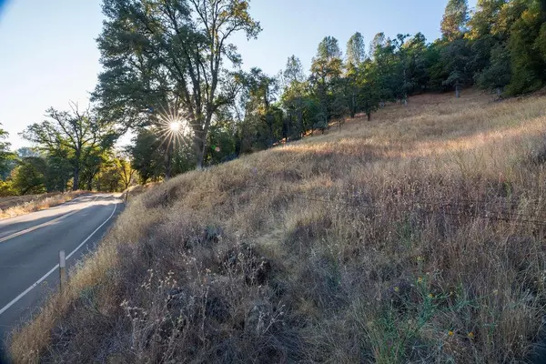 Grass Valley, CA 95949,16297 Dog Bar RD