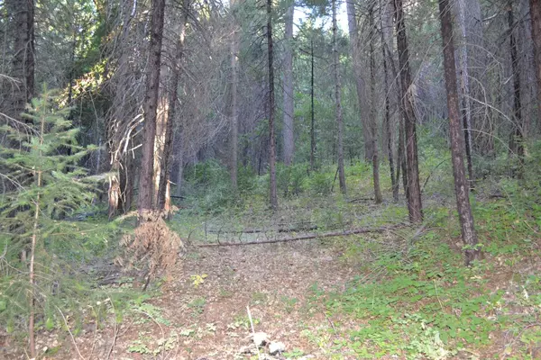 Somerset, CA 95684,0 Lodestone RD