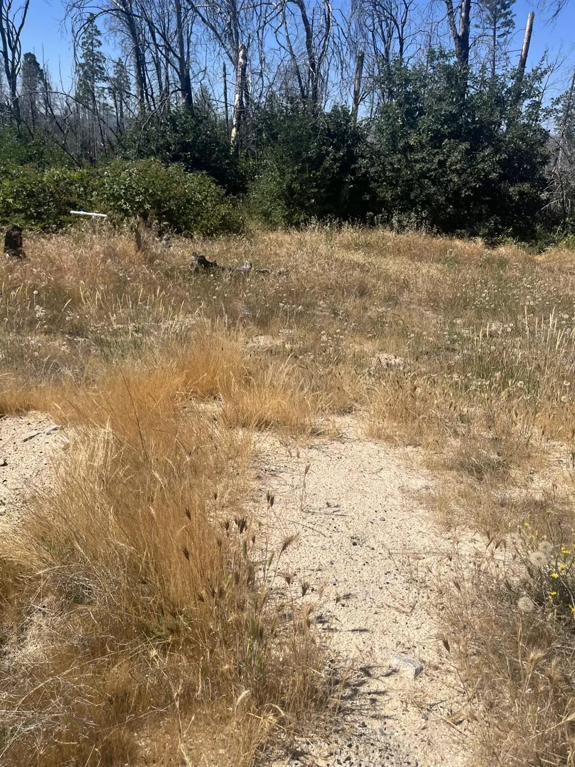Berry Creek, CA 95916,122 Simpson Ranch RD