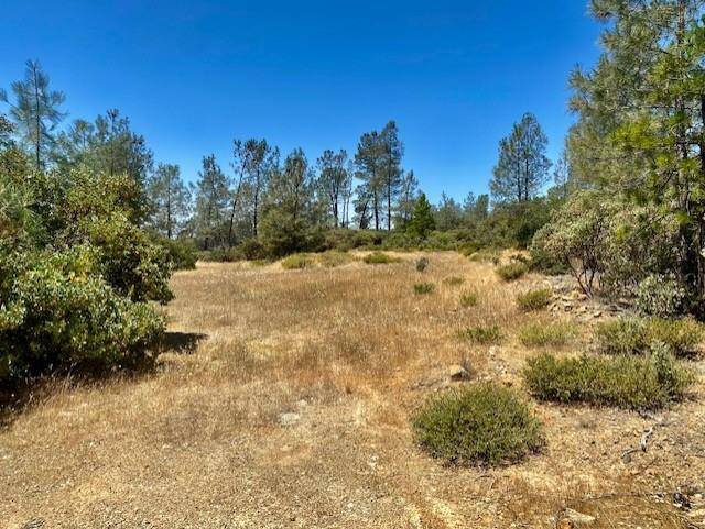 Grass Valley, CA 95975,0 N 12626 N Ponderosa Way