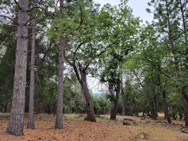 16700 Alice WAY, Grass Valley, CA 95949