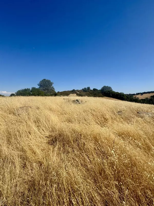 Valley Springs, CA 95252,7505 Lawson RD