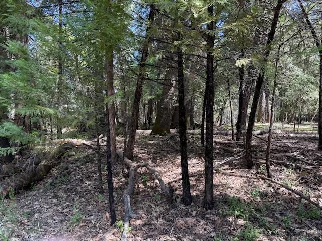 Foresthill, CA 95631,0 Timberland