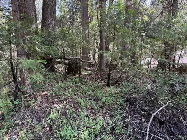Foresthill, CA 95631,0 Timberland