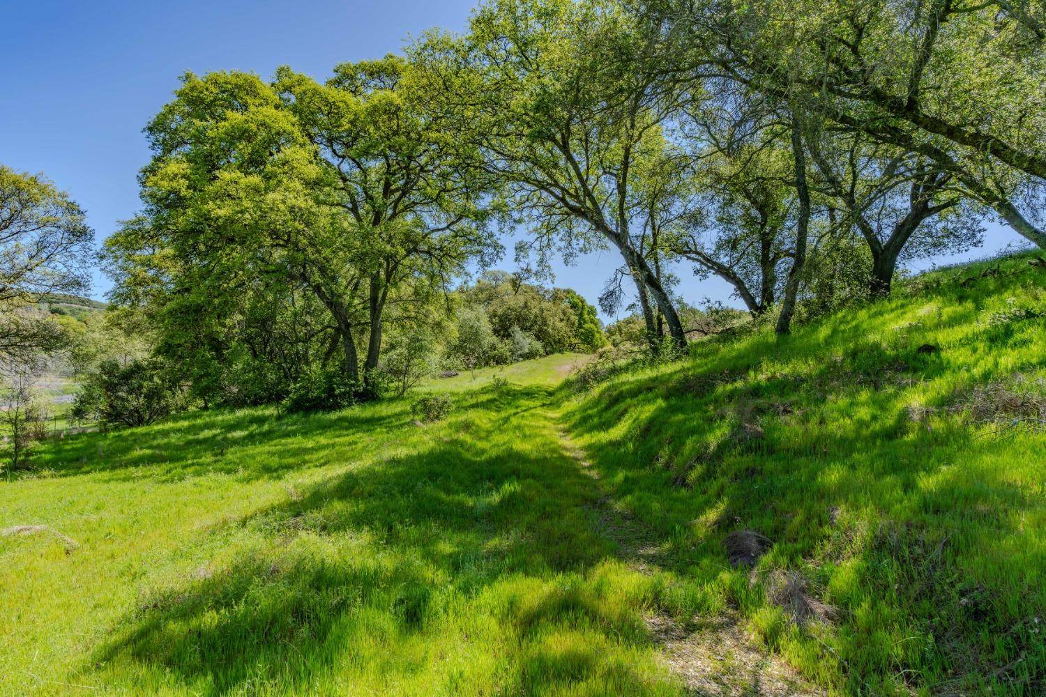 Ione, CA 95640,5650 Red Valley RD