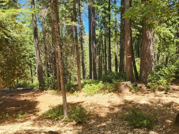 Clipper Mills, CA 95930,6296 Merry WAY