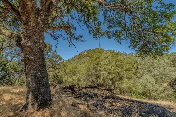 Jackson, CA 95642,0 Lauren LN