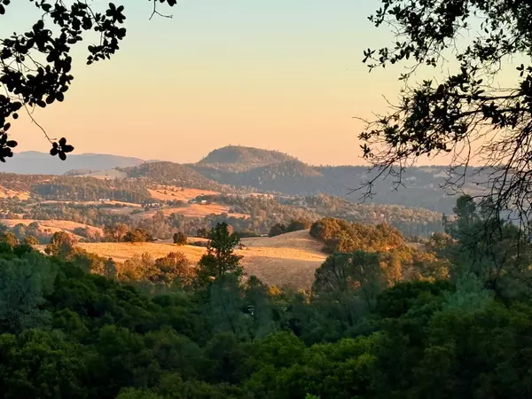 Jackson, CA 95642,0 Lauren LN