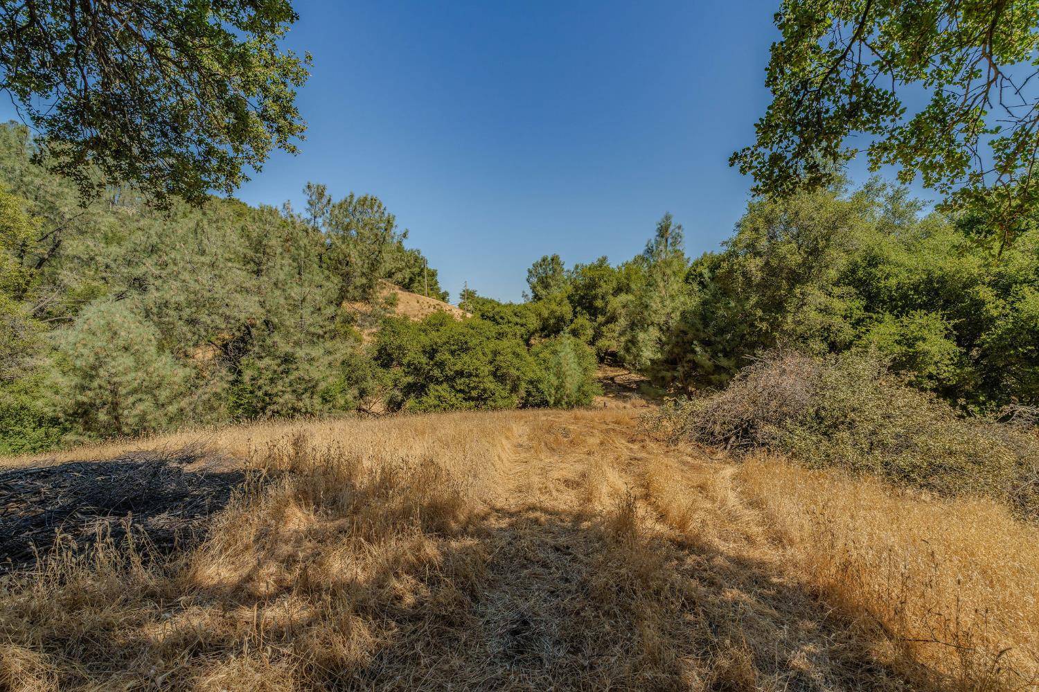 Jackson, CA 95642,0 Lauren LN