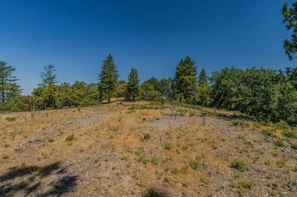 Pine Grove, CA 95665,20117 Neilson RD