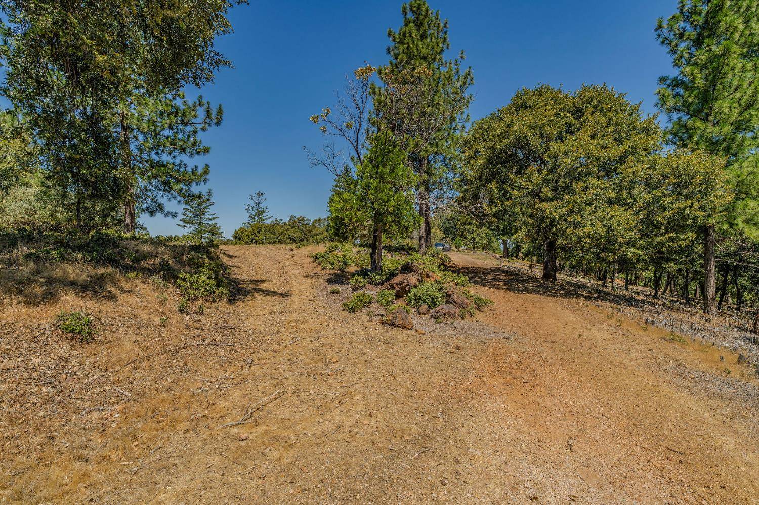 Pine Grove, CA 95665,20117 Neilson RD