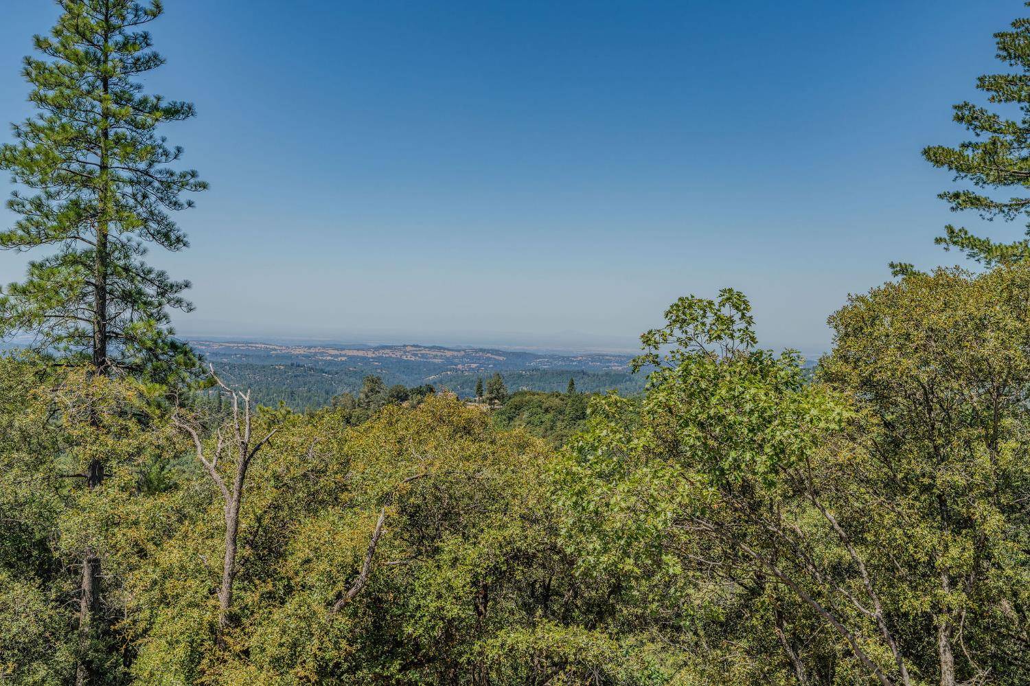Pine Grove, CA 95665,20117 Neilson RD