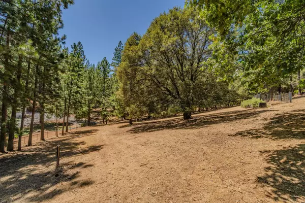 Pine Grove, CA 95665,11161 Clinton Bar RD