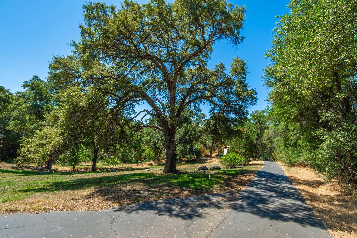 Rough And Ready, CA 95975,10151 Trauner LN