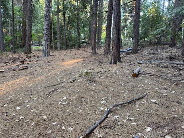 Pollock Pines, CA 95726,6235 Terrace DR