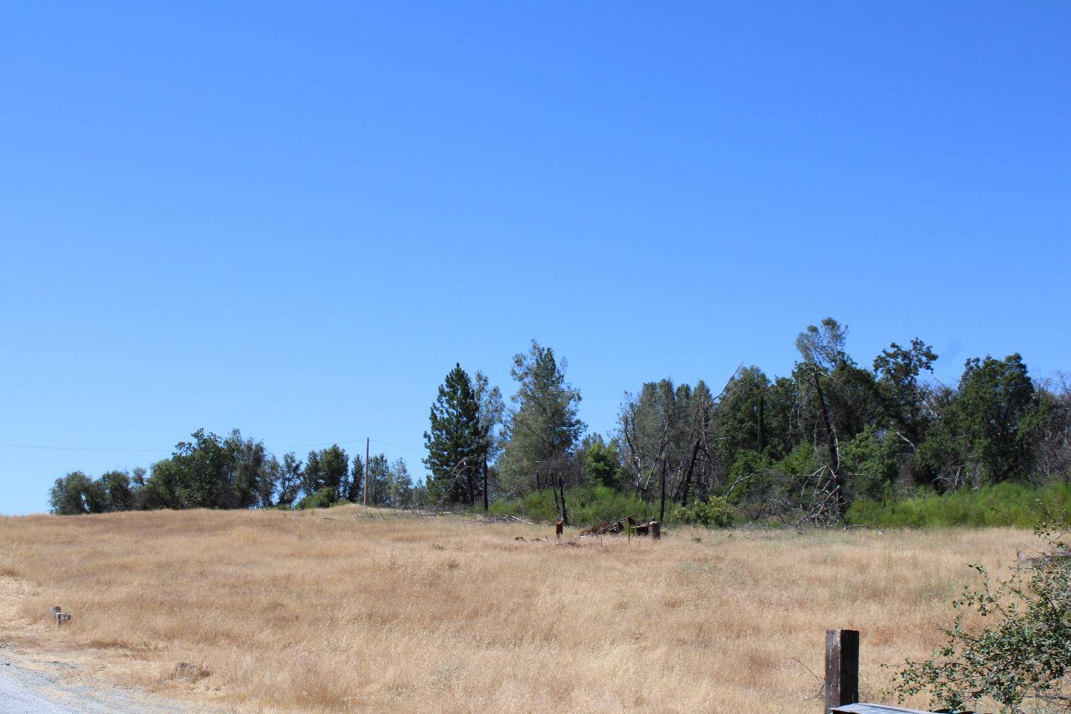 3600 Lou Allen LN, Cool, CA 95614