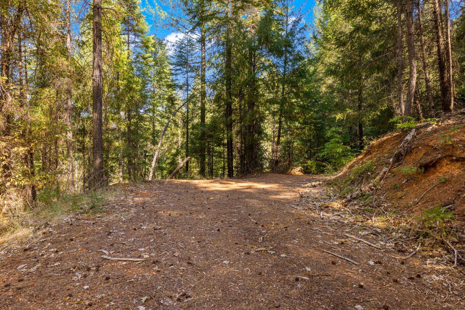 Alta, CA 95701,0 Drum Powerhouse Road