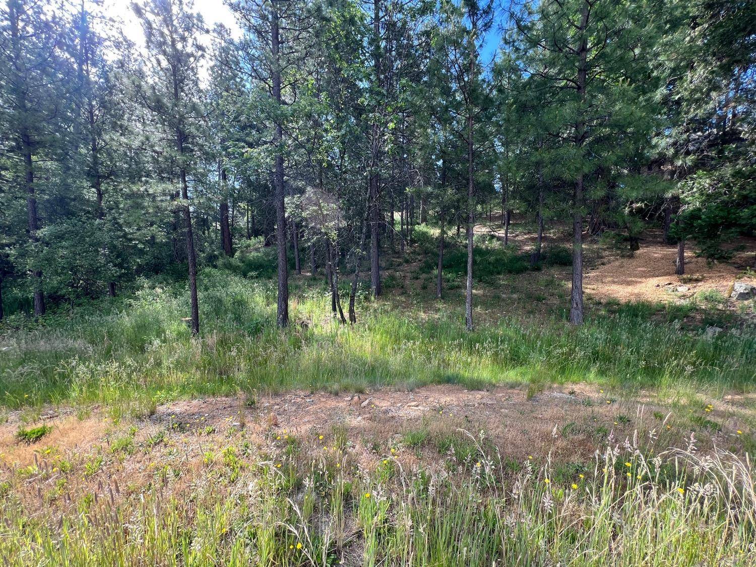Meadow Vista, CA 95722,Lot 323 The Point RD