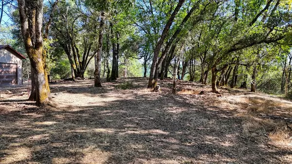 Placerville, CA 95667,3500 Mining Brook RD
