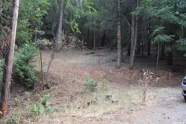 Pollock Pines, CA 95726,5511 Shooting Star RD