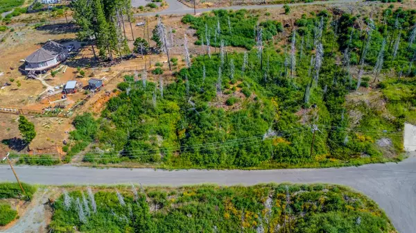 Grizzly Flats, CA 95636,7676 Winding WAY