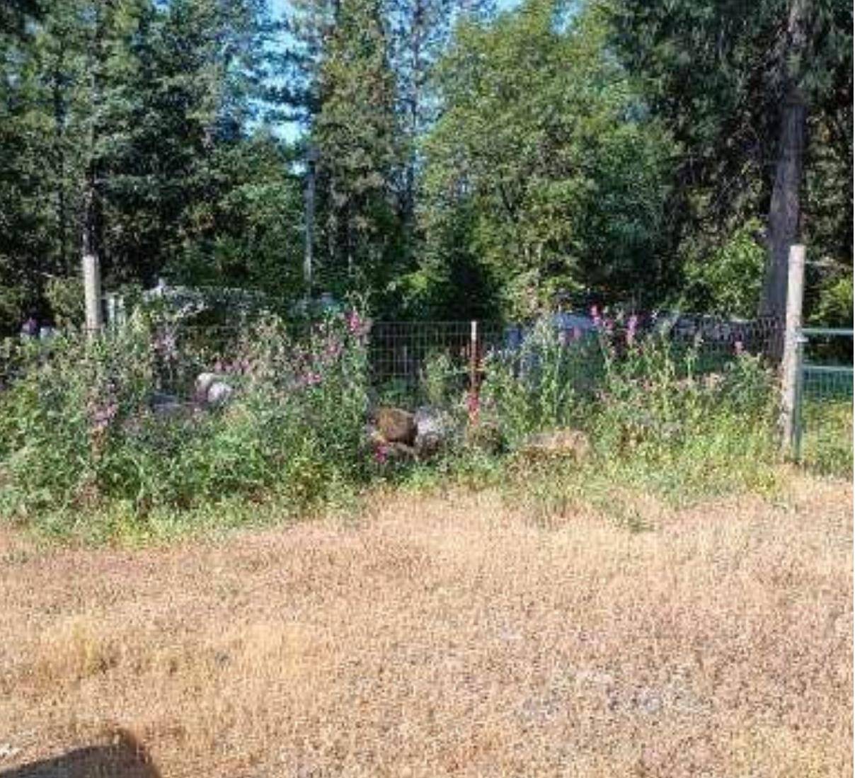 Forbestown, CA 95941,19033 New York Flat RD