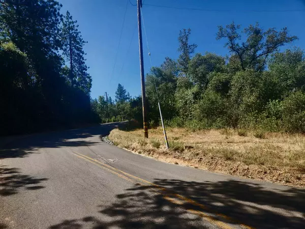 Oregon House, CA 95962,47 Texas Hill RD